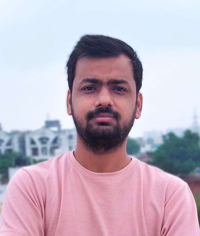 Cartoon developer character